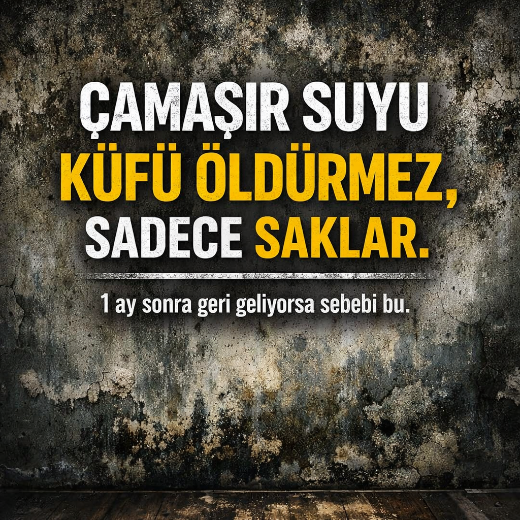 Çamaşır suyu küfü öldürmez, sadece saklar